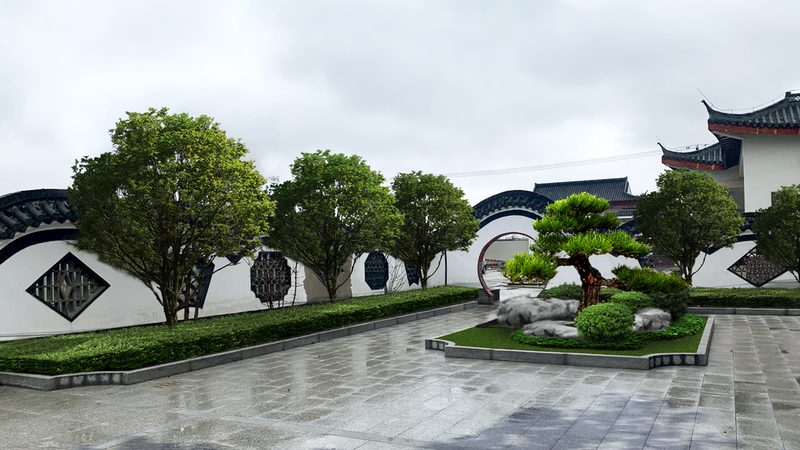 苗木种植：品种选择与价格因素考量