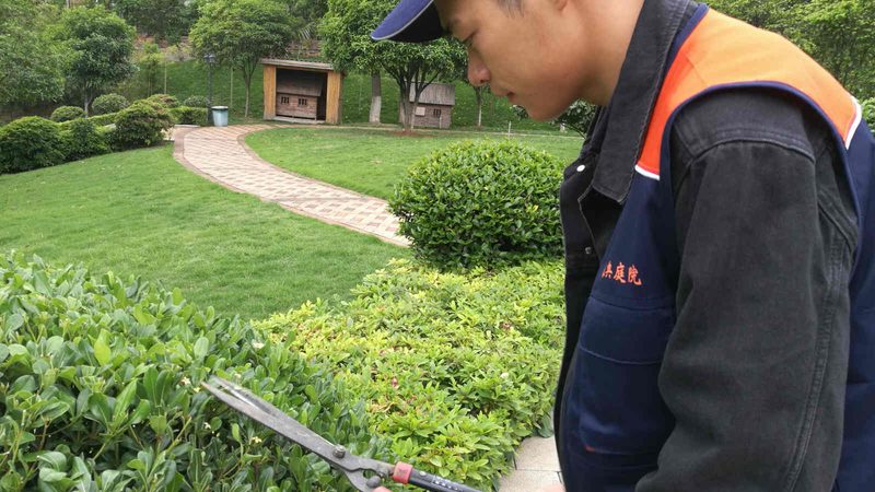 小区绿化修剪，这几点你注意到了吗？**