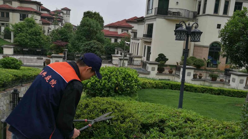 假山喷泉：园林景观中的艺术与考量**
