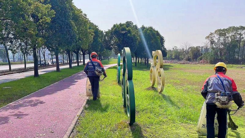绿化养护病虫害防治，如何制定合理报价？**