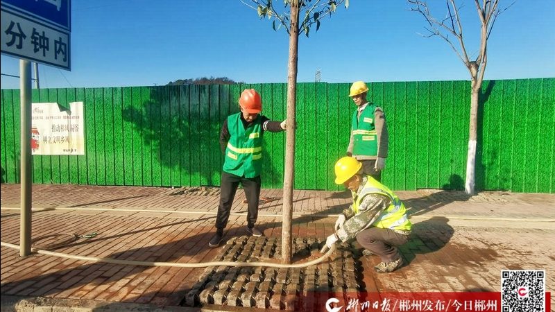 绿植租摆安装合同范本：关键条款解析与注意事项**